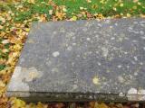image of grave number 540274